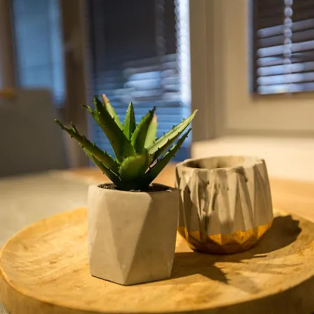 Appartement Three Bedroom Near Center