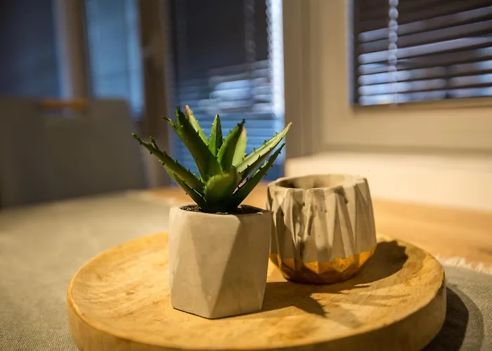 Apartment Three Bedroom Near Center